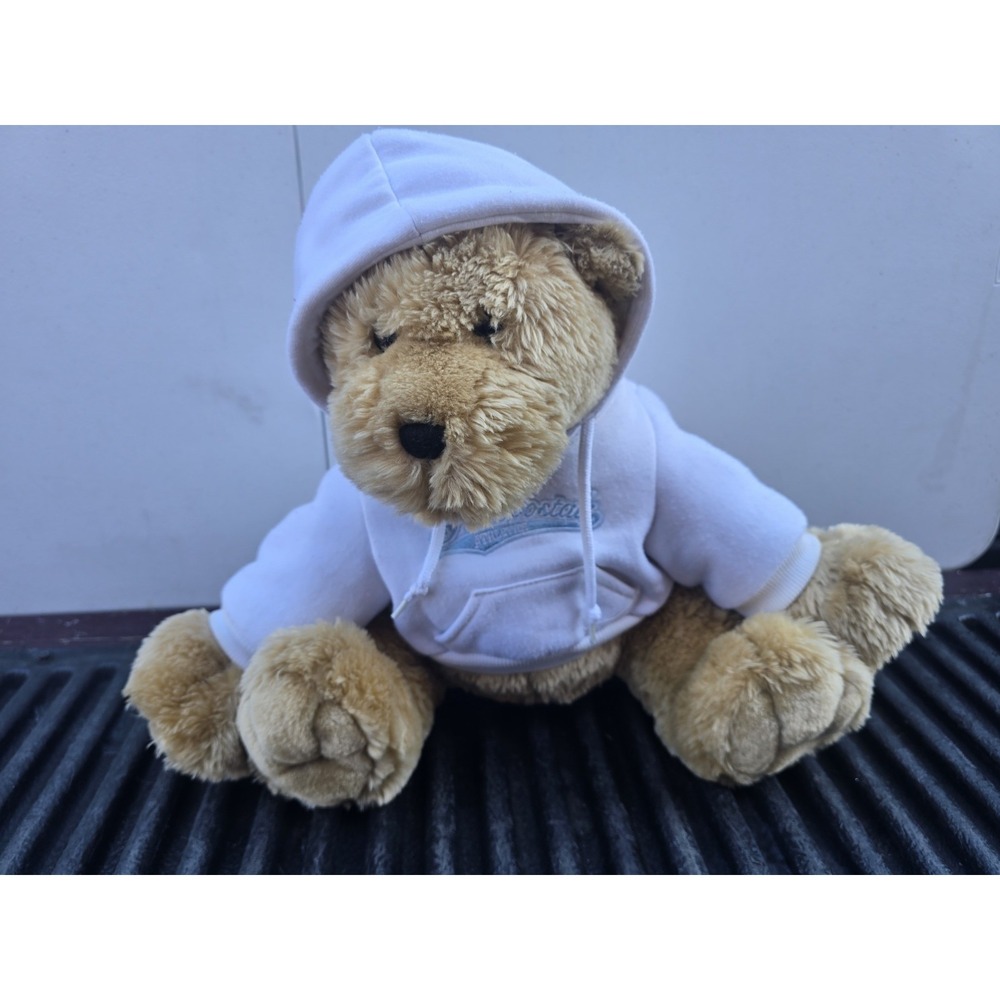 Aeropostale Teddy Bear White Hoodie Plush retired and no wear
